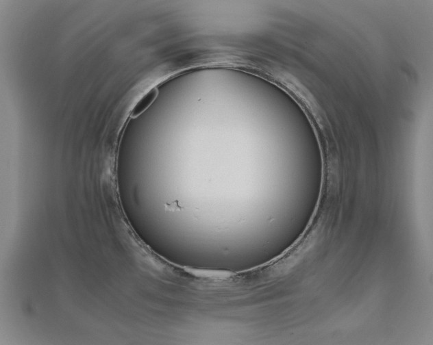 X0000112511481200908171323