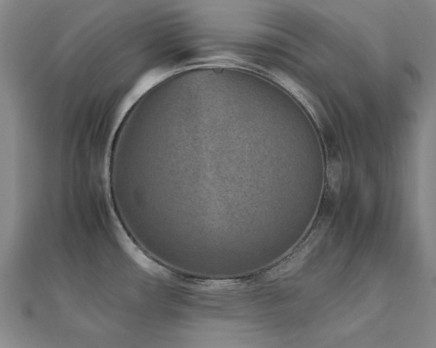 X0000112511482200908171323
