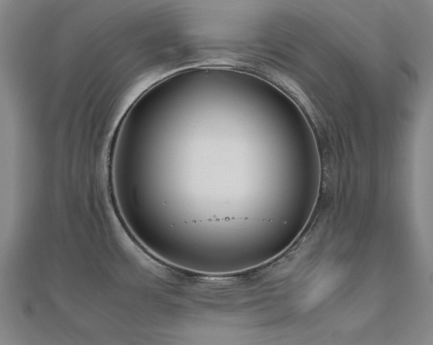 X0000112511483200908171323