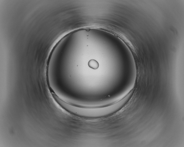 X0000112511484200908171323