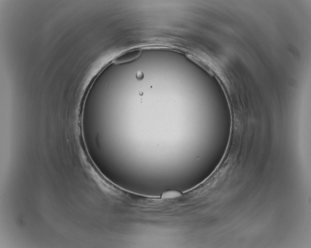 X0000112511485200908171323