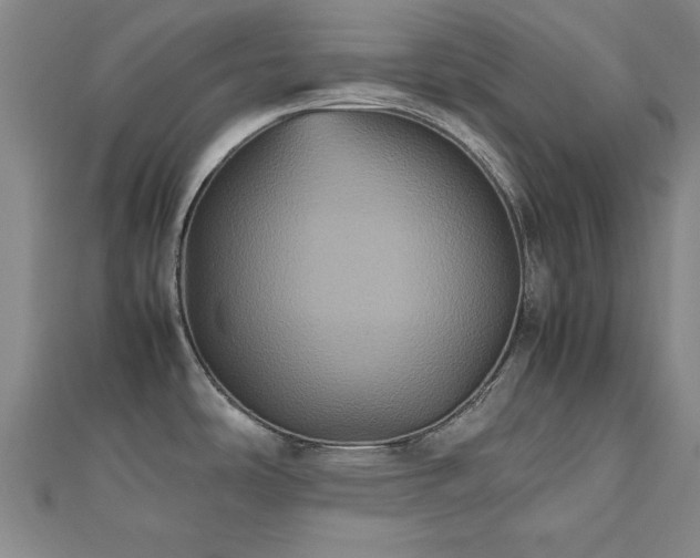 X0000112511486200908171323