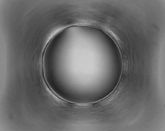 X0000112511487200908171323