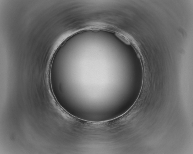 X0000112511488200908171323