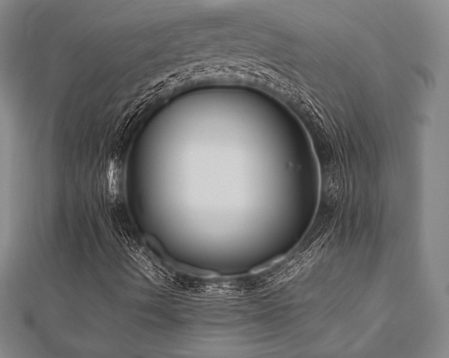 X0000112511490200908171322