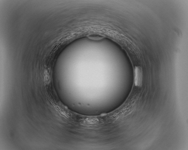 X0000112511491200908171322