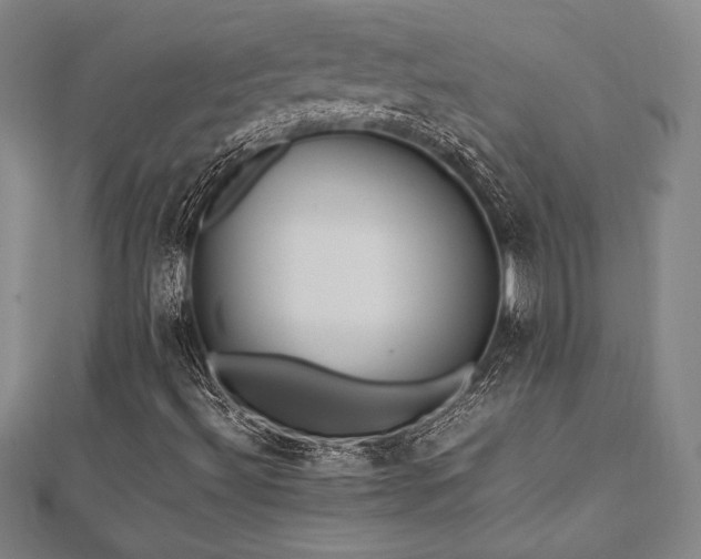 X0000112511492200908171322