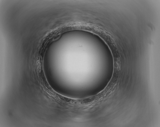 X0000112511493200908171322