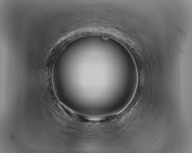 X0000112511494200908171322