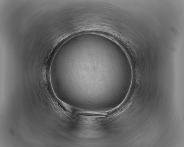 X0000112511497200908171322