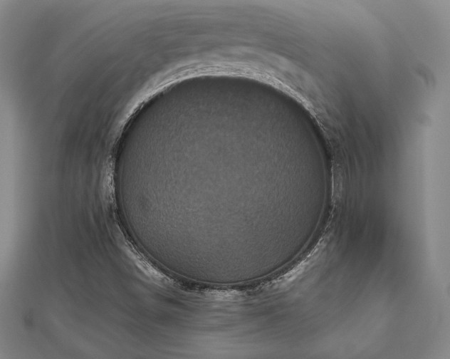 X0000112511498200908171322