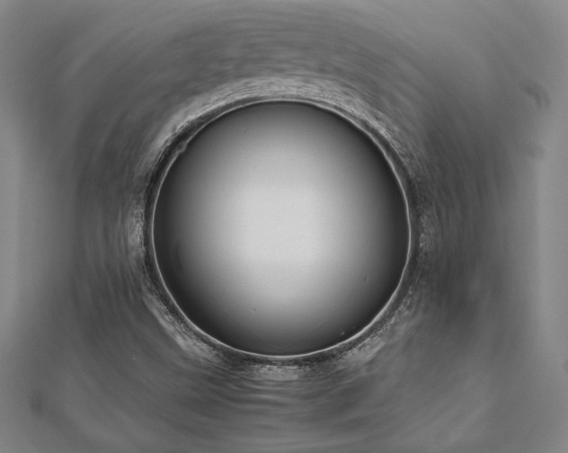 X0000112511499200908171322