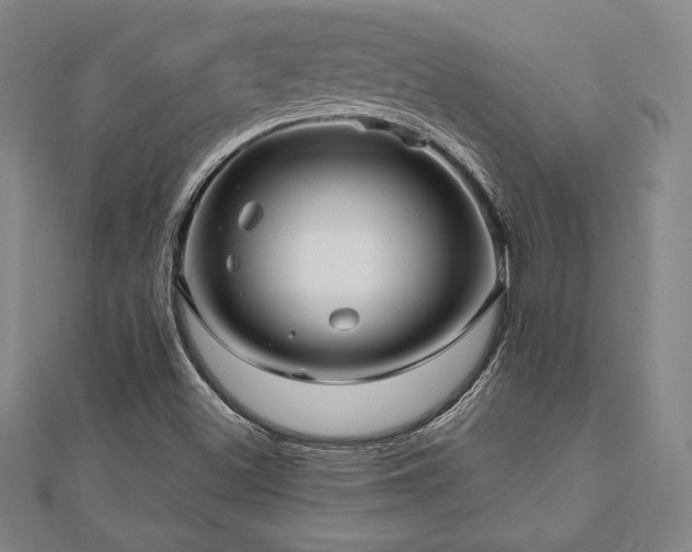 X0000112511500200908171322