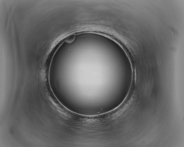 X0000112511501200908171322