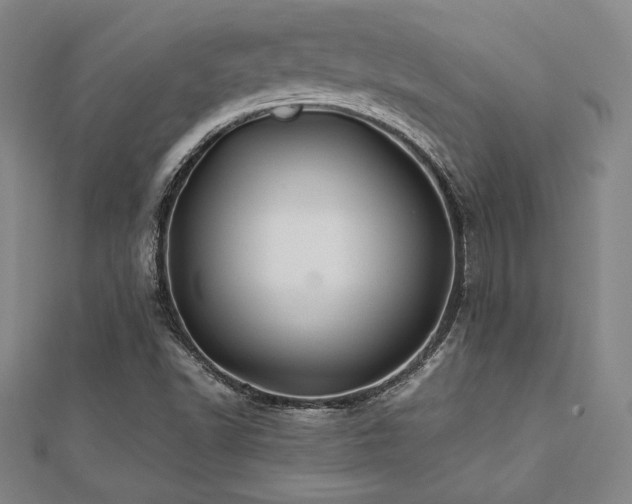 X0000112511502200908171322