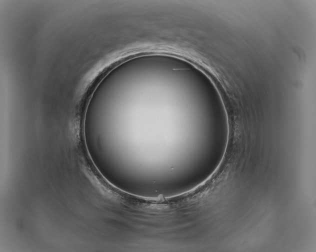 X0000112511503200908171322