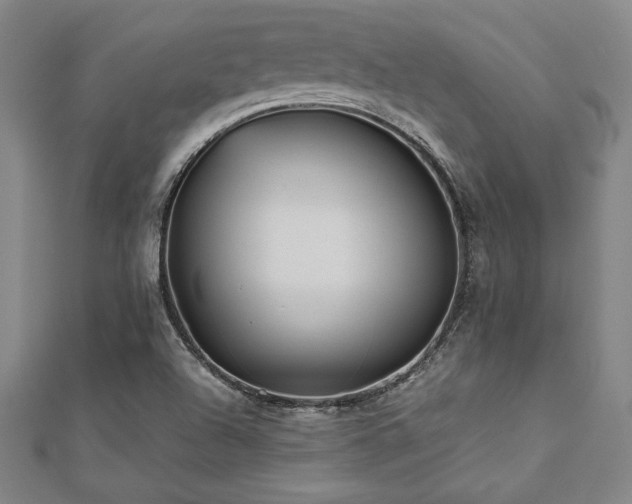 X0000112511504200908171322