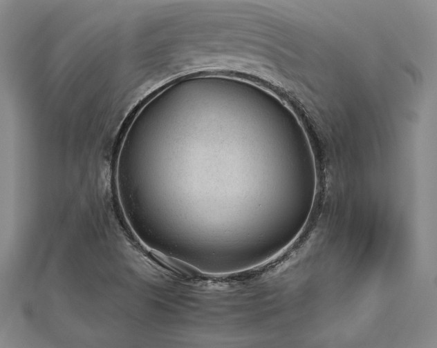 X0000112511505200908171322