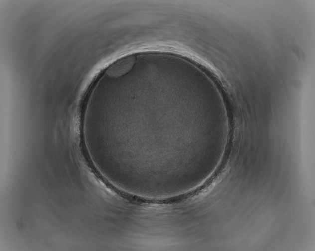 X0000112511506200908171322