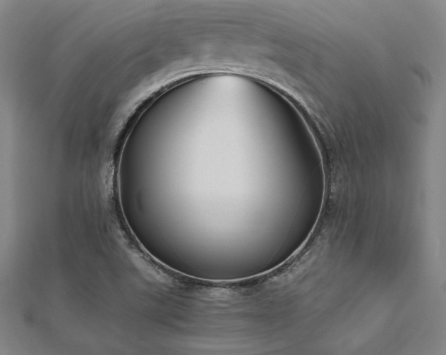 X0000112511507200908171322