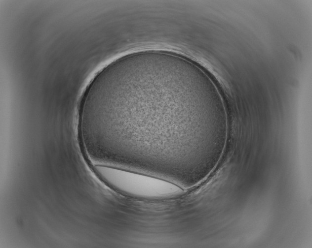 X0000112511508200908171322