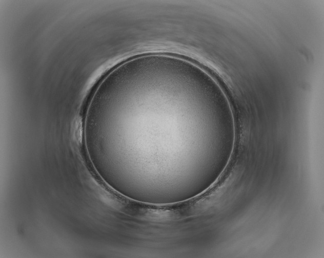 X0000112511509200908171322