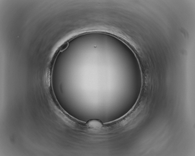 X0000112511510200908171322