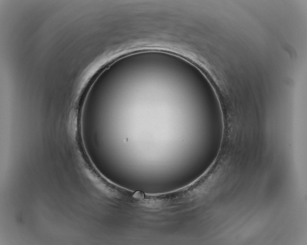 X0000112511511200908171322