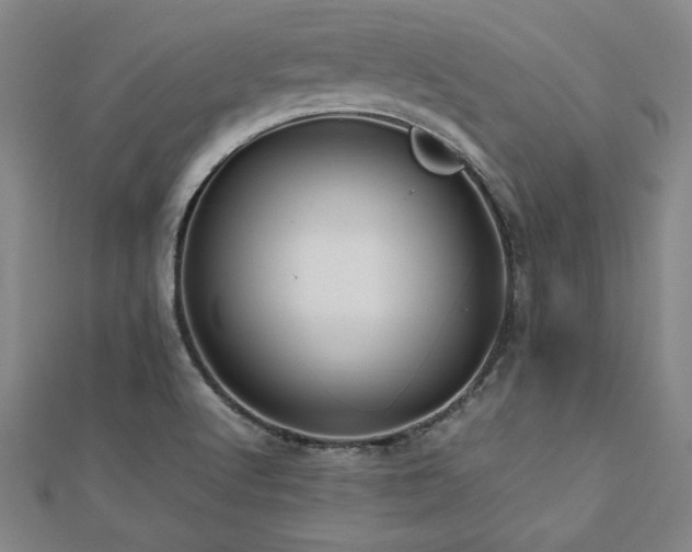 X0000112511512200908171322