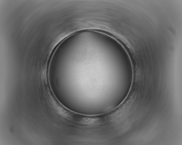X0000112511513200908171322