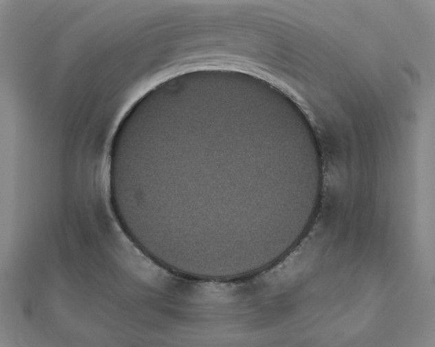 X0000112511514200908171322