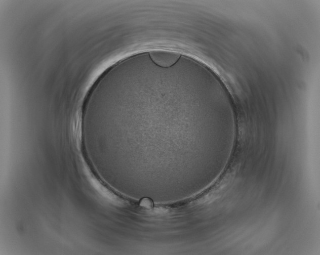 X0000112511515200908171322