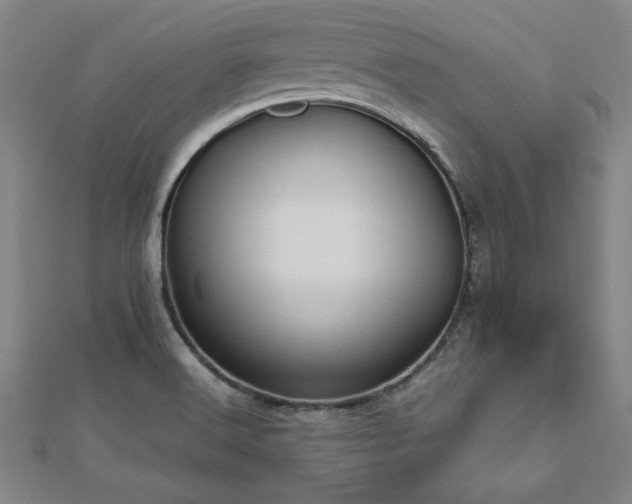X0000112511516200908171322