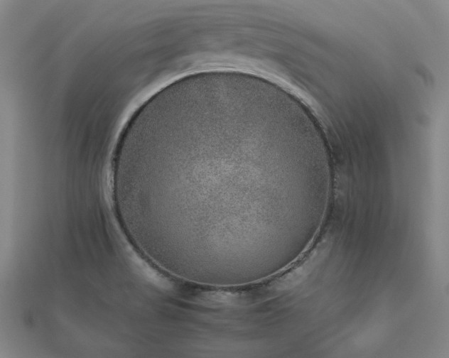 X0000112511517200908171322