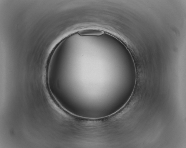 X0000112511518200908171322