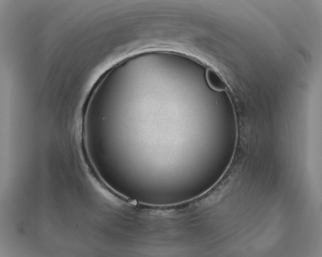 X0000112511519200908171322