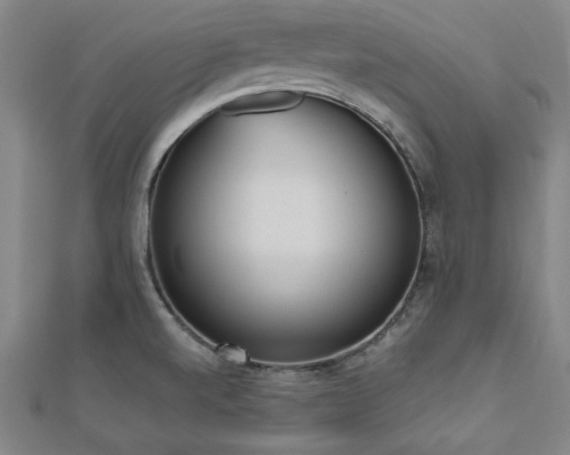 X0000112511520200908171322