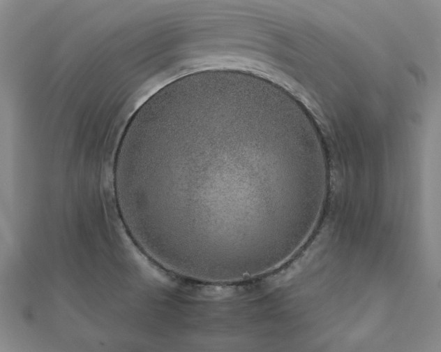 X0000112511521200908171322