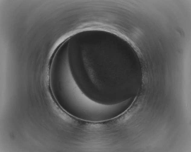 X0000112511522200908171322