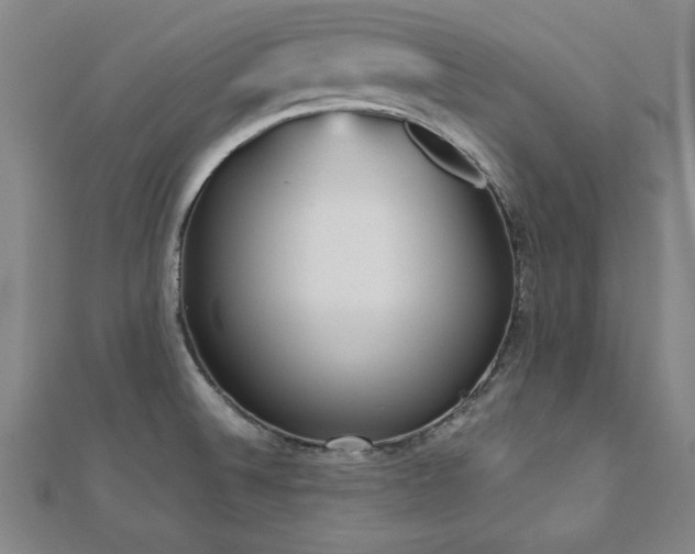 X0000112511524200908171322