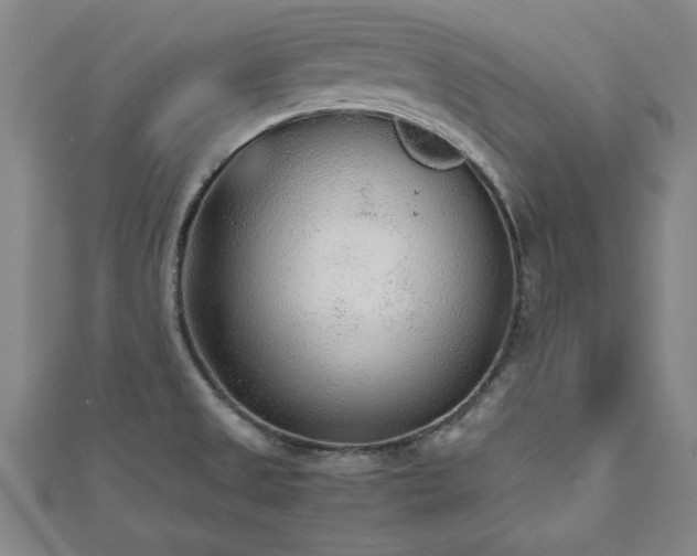 X0000112511525200908171322