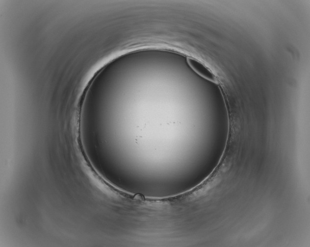 X0000112511526200908171322