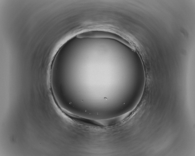 X0000112511528200908171322