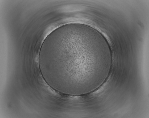 X0000112511529200908171322