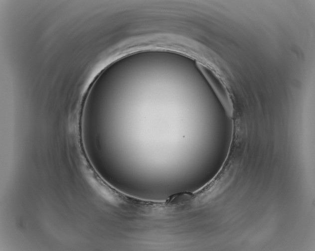 X0000112511530200908171322