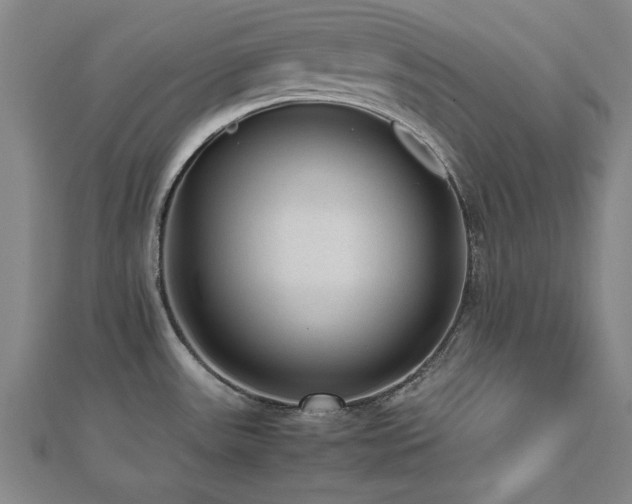 X0000112511531200908171322