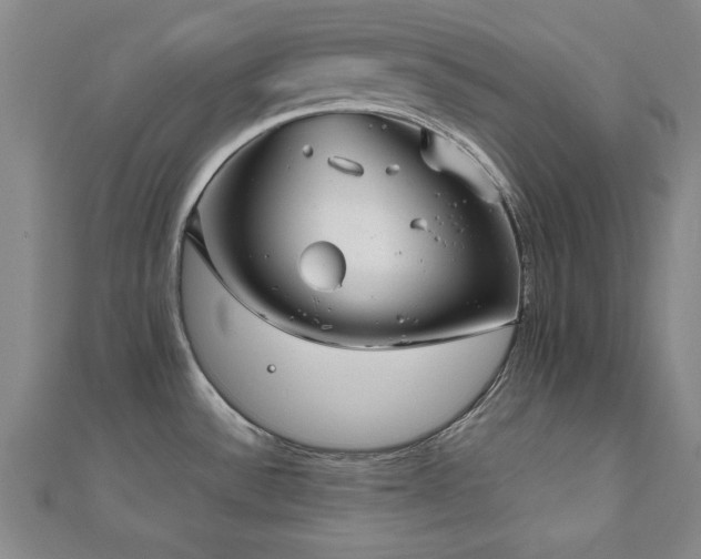 X0000112511532200908171323