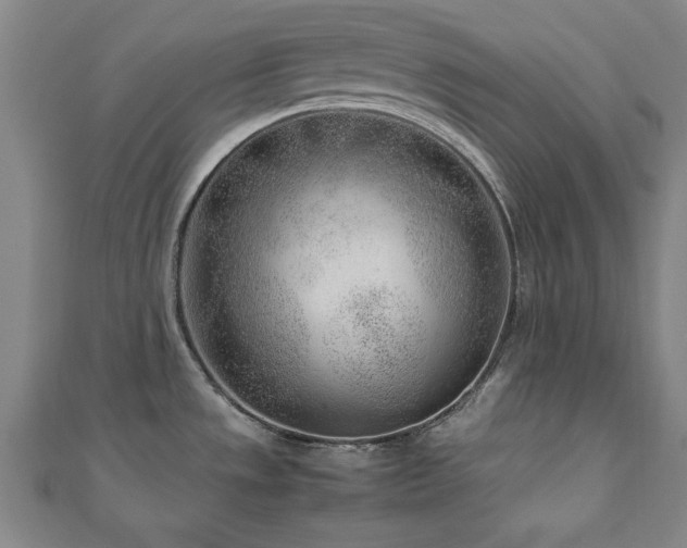X0000112511533200908171323