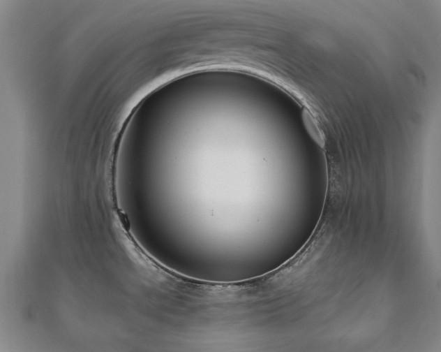 X0000112511534200908171323