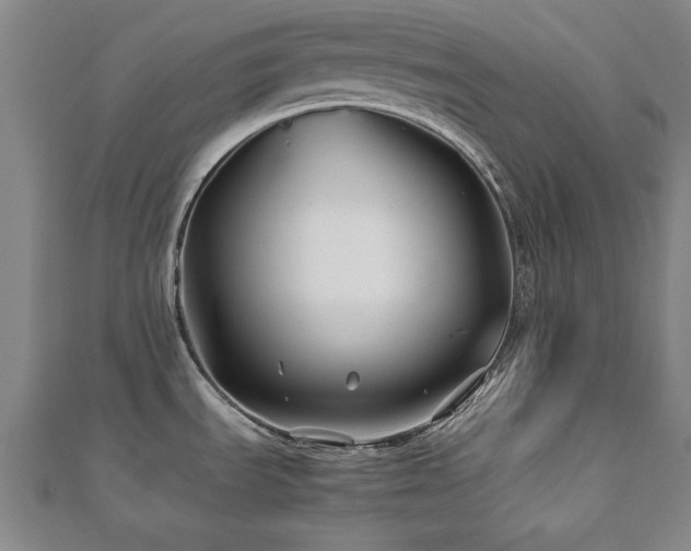 X0000112511535200908171323